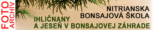 Nitra-Bonsai-škola