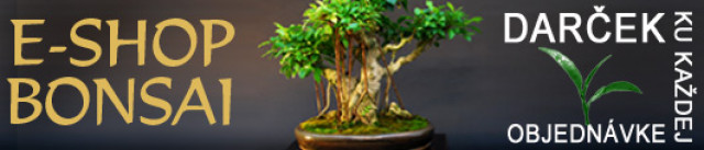 E-SHOP BONSAI