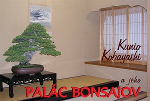 Kunio Kobayashi a jeho PALÁC BONSAJOV