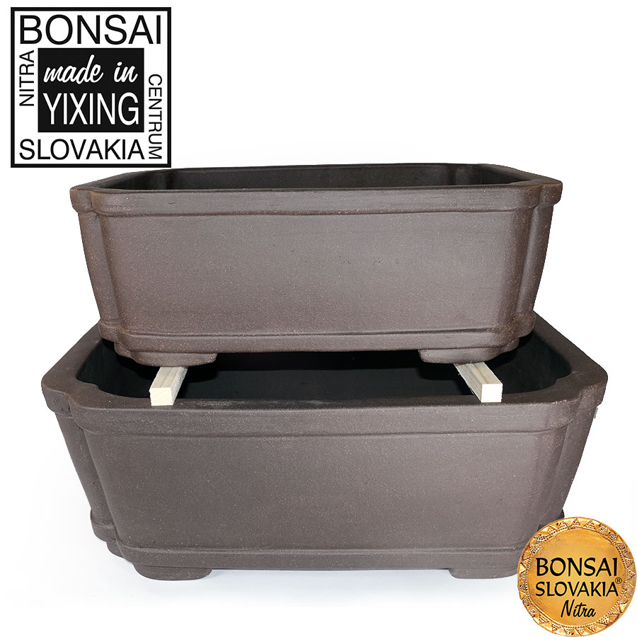 YIXING - BONSAI MISKA DONG