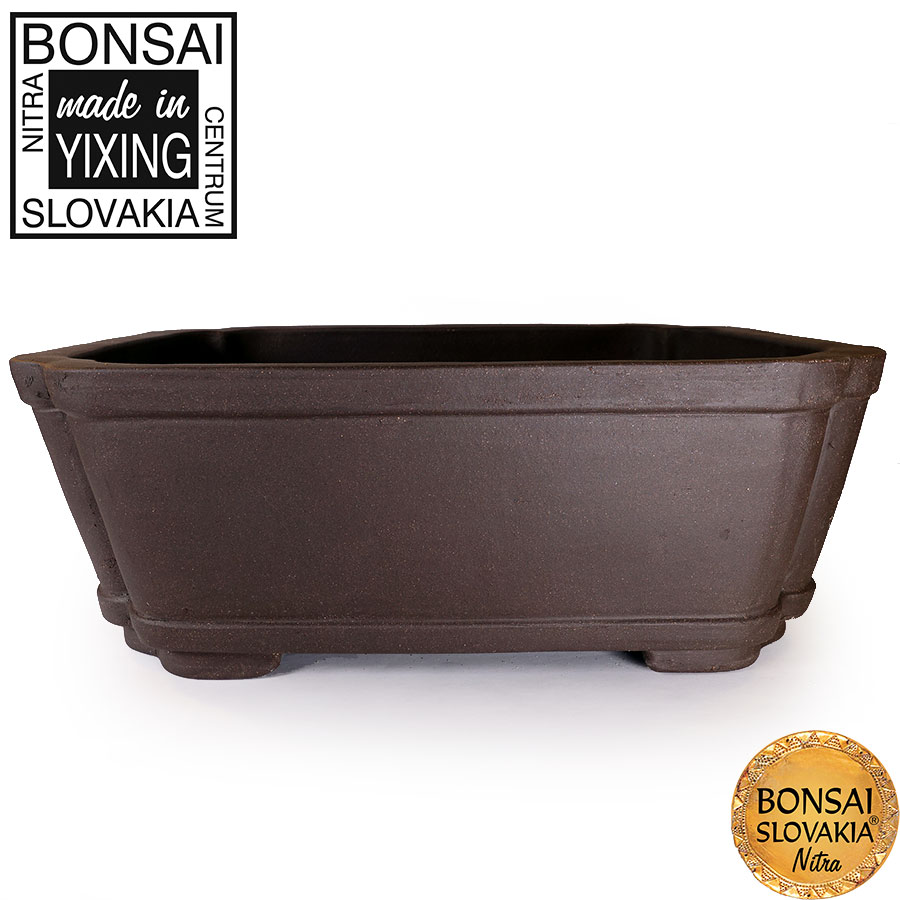 YIXING - BONSAI MISKA DONG