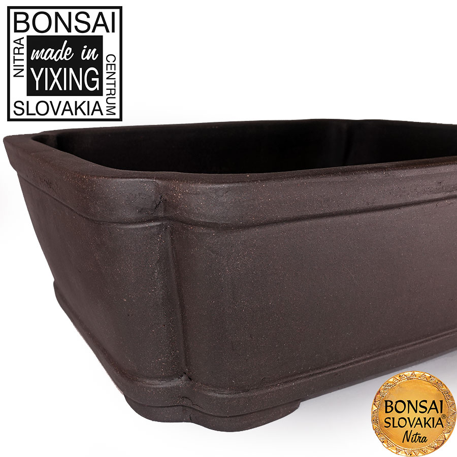 YIXING - BONSAI MISKA DONG