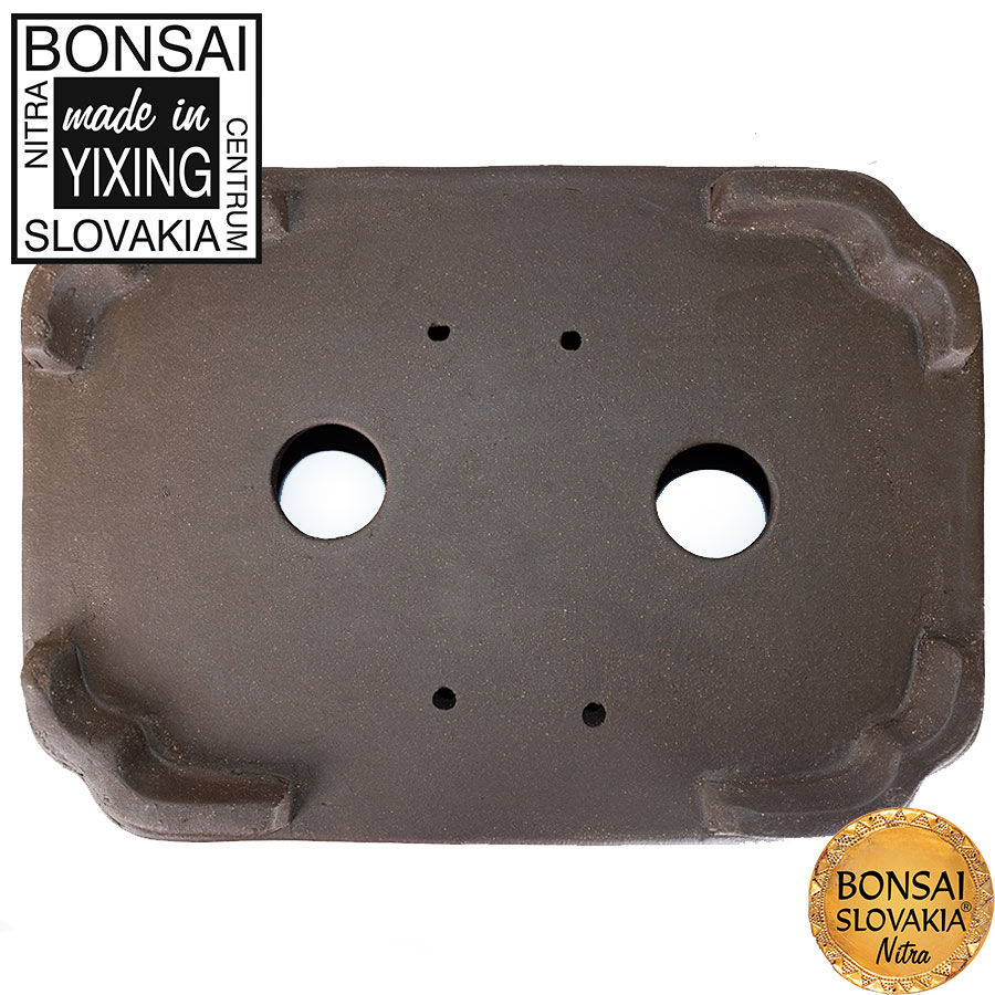 YIXING - BONSAI MISKA DONG