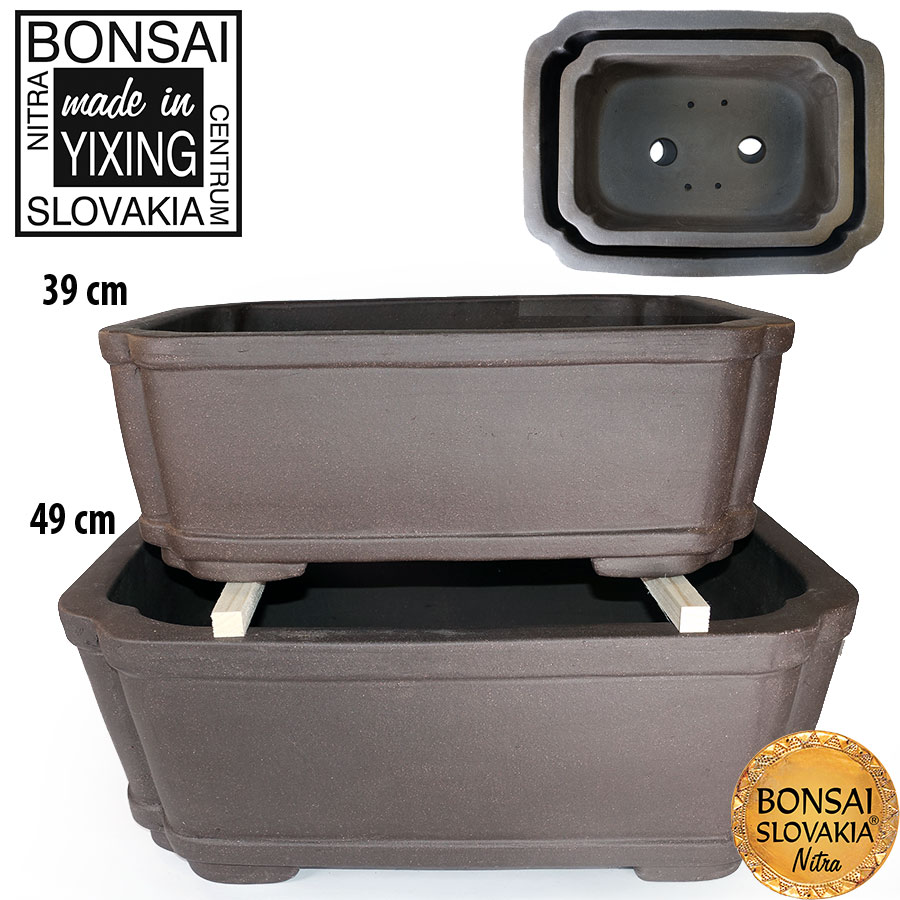 YIXING - BONSAI MISKA DONG