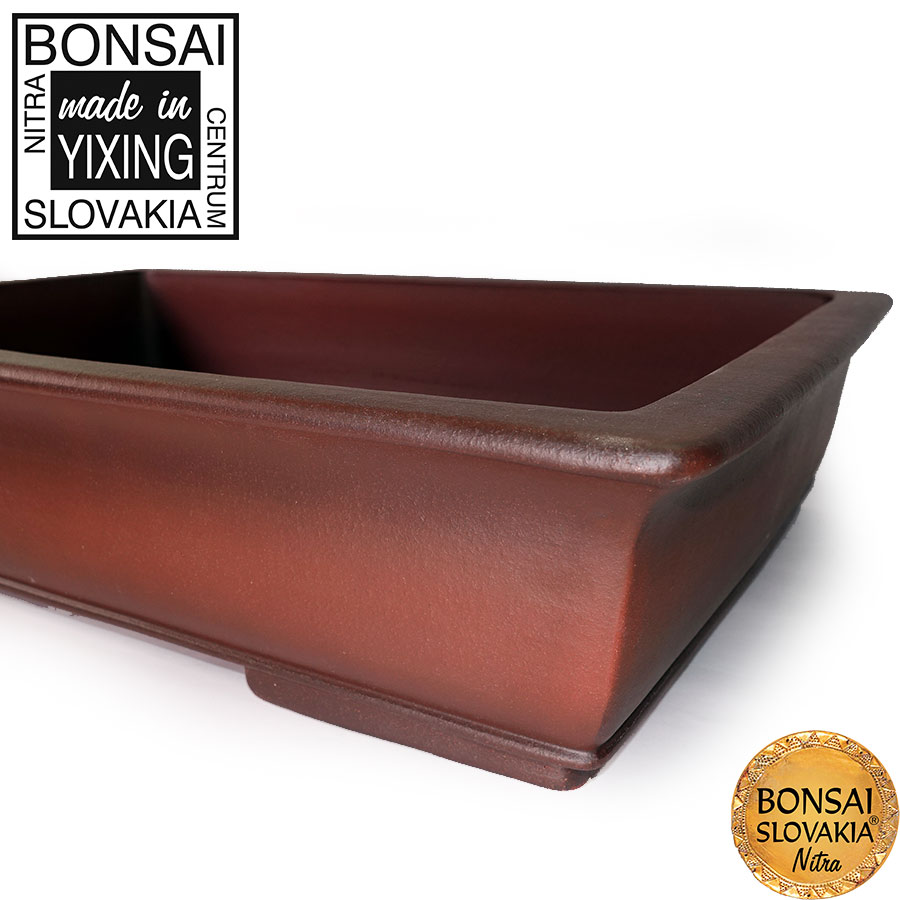 YIXING - BONSAI MISKA GUAN-YIN