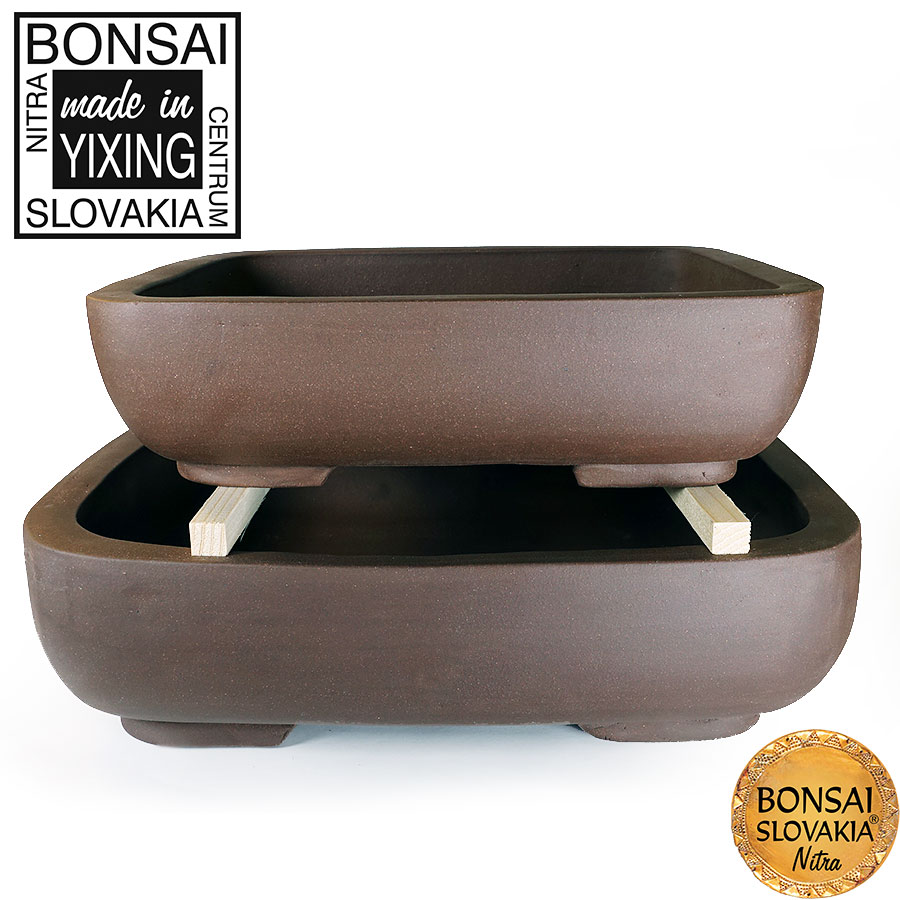  YIXING - BONSAI MISKA HONG-KONG