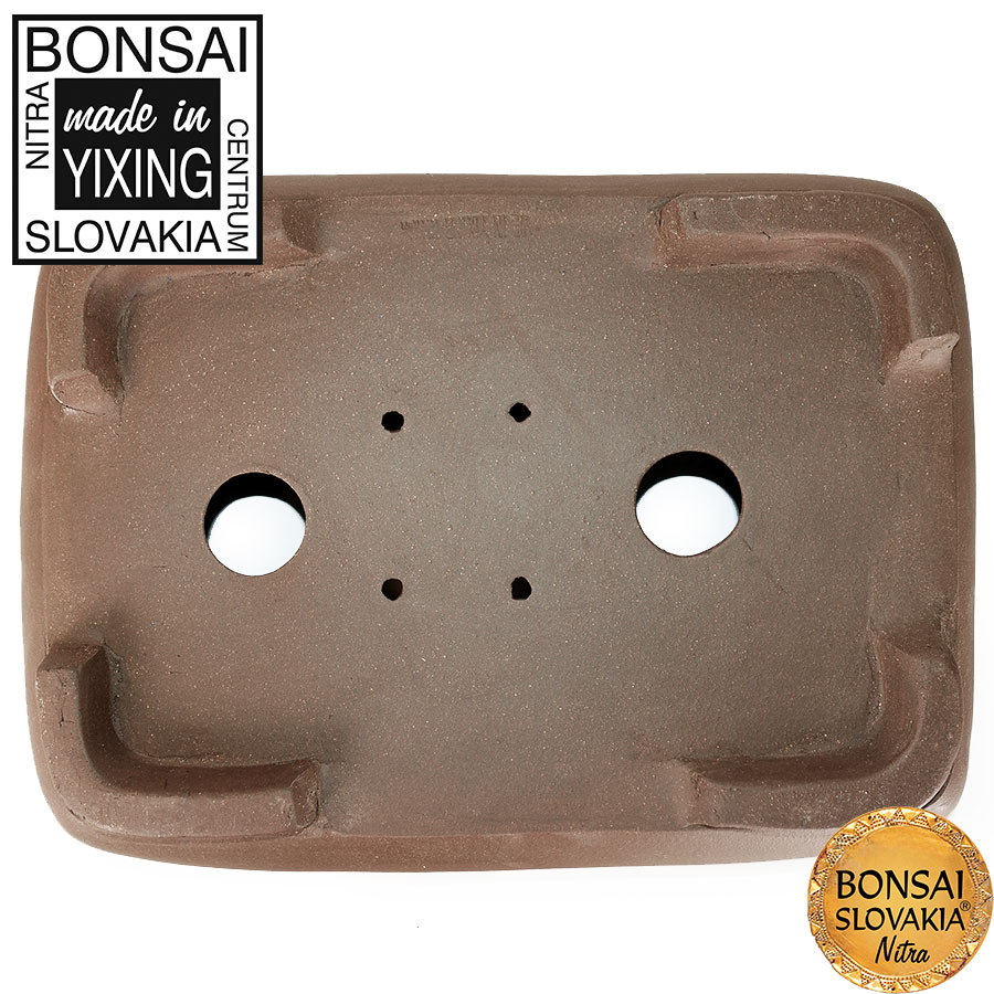 YIXING - BONSAI MISKA HONG-KONG