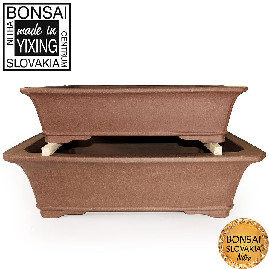 YIXING - BONSAI MISKA JANG