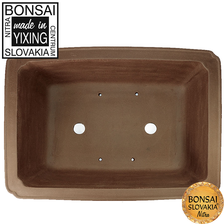 YIXING - BONSAI MISKA JANG