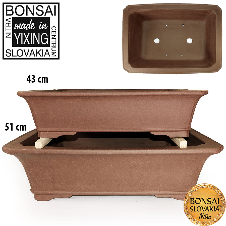 YIXING - BONSAI MISKA JANG