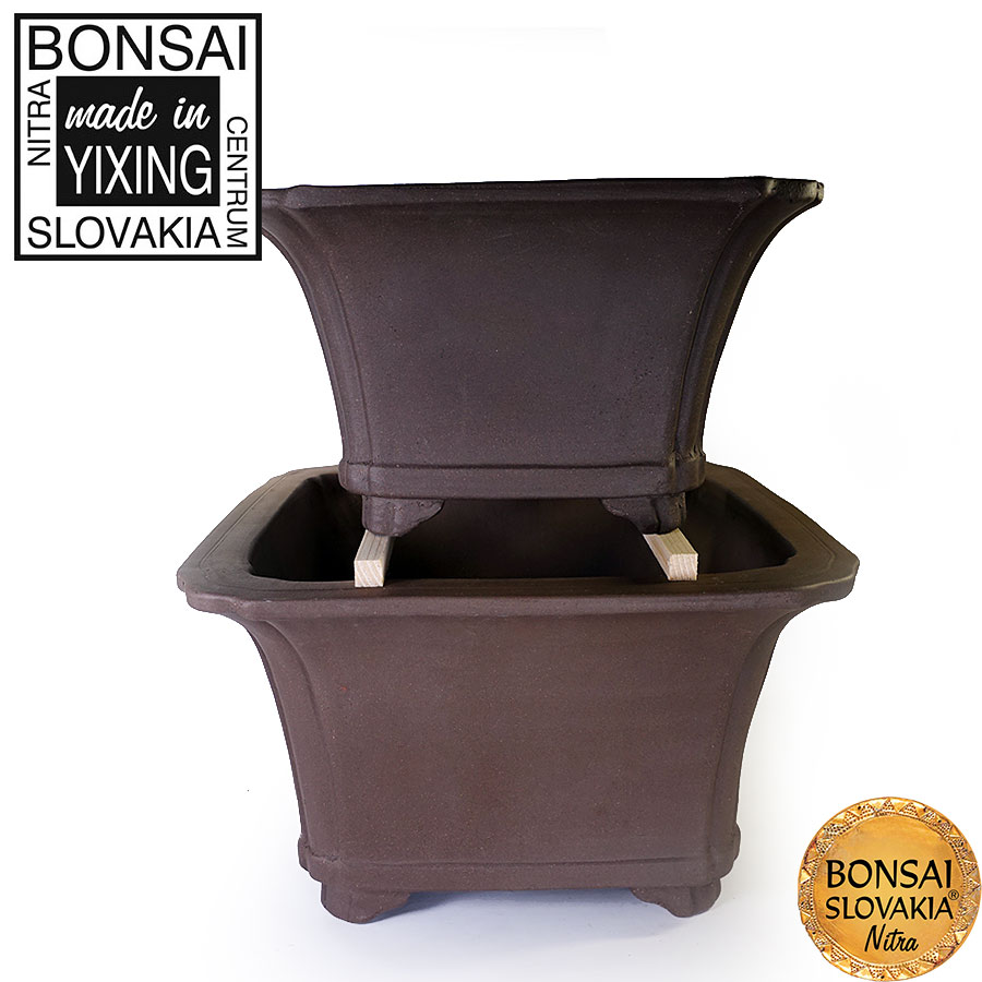 YIXING - BONSAI MISKA KENDO