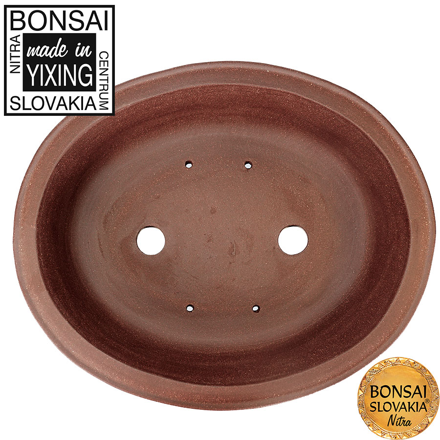 YIXING - BONSAI MISKA KIA