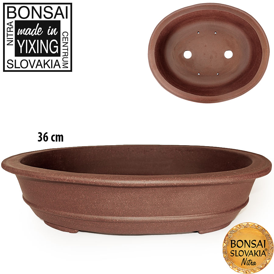 YIXING - BONSAI MISKA KIA