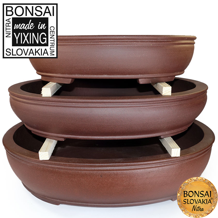 YIXING - BONSAI MISKA SHENG