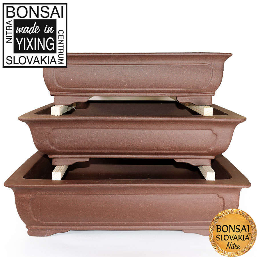 YIXING - BONSAI MISKA TANG PLUS