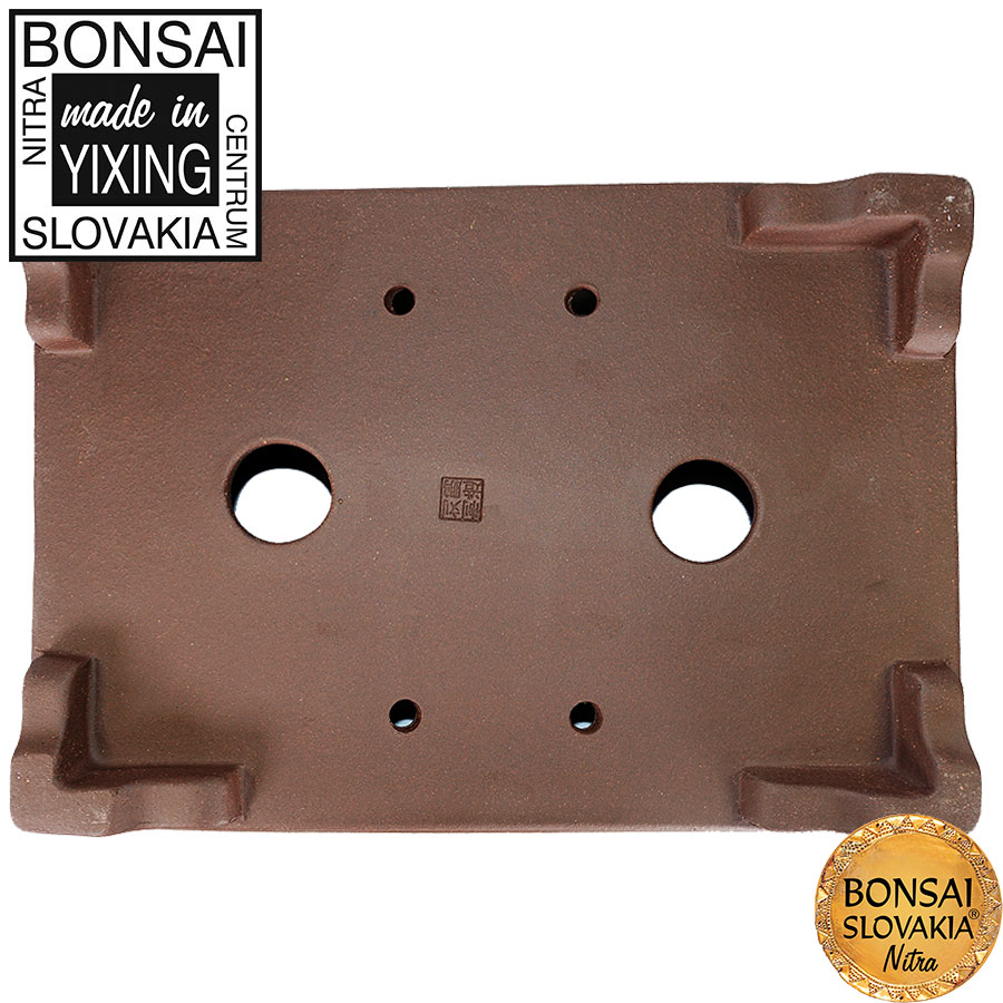 YIXING - BONSAI MISKA TANG PLUS