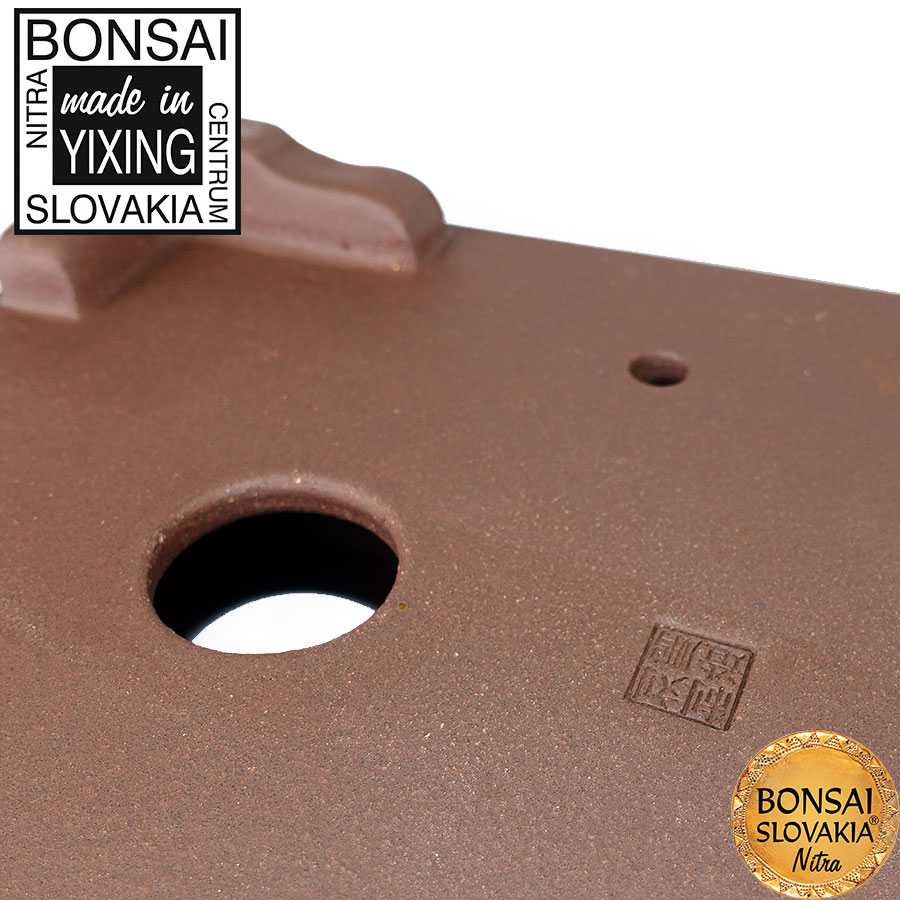 YIXING - BONSAI MISKA TANG PLUS