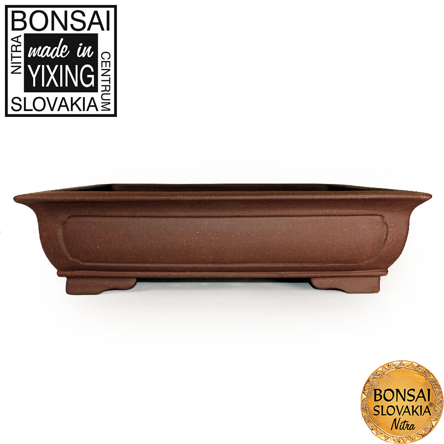 YIXING - BONSAI MISKA TANG PLUS