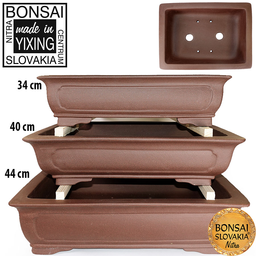 YIXING - BONSAI MISKA TANG PLUS