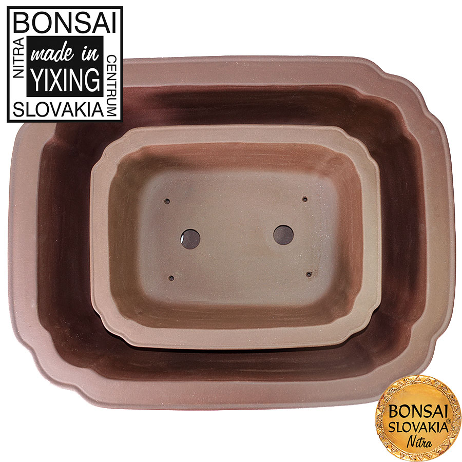 YIXING - BONSAI MISKA