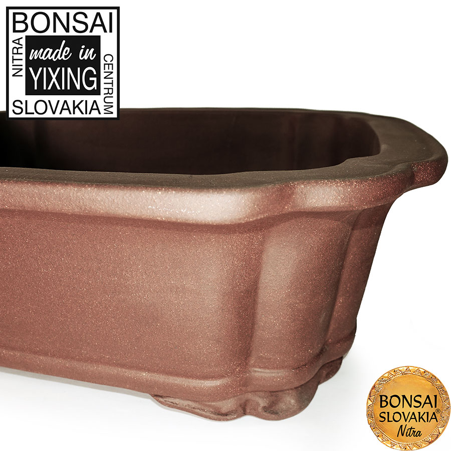 YIXING - BONSAI MISKA