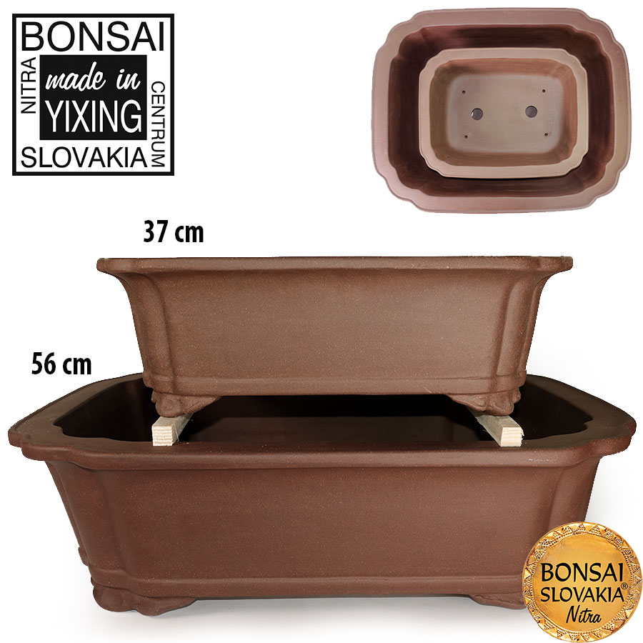 YIXING - BONSAI MISKA