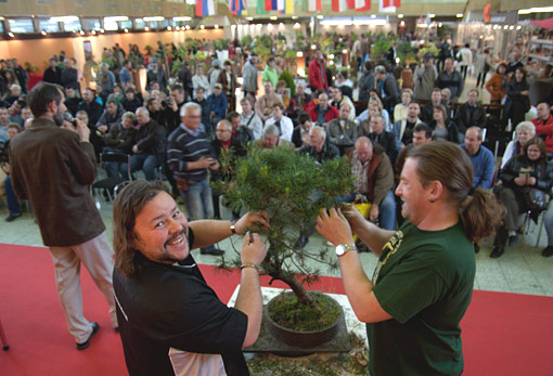 Bonsai Slovakia 2012