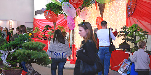Milí priatelia bonsajisti a suisekisti, milí vystavovatelia  BONSAI CENTRUM NITRA  Vás srdečne pozýva na  14. ročník medzinárodnej výstavy bonsajov, suiseki a čaju BONSAI SLOVAKIA 2011 14. - 17. apríla 2011  Výstavisko Agropkomplex Nitra, pavilón C  Čím je teplejšie a slnečnejšie, tým sa nám čas výstavy Bonsai Slovakia 2011 viac blíži. Budeme radi, ak budete vystavovať svoje s láskou pestované bonsaje a tvorivé suiseki plné Vašej fantázie. Prezentujte sa na tejto zaujímavej výstave, ktorú už 14 rokov organizujeme pre Vás.  V prílohe nájdete vystavovateľské formuláre.  Mnohí z Vás ich dostali i poštou. Prihlásenie poštou, faxom alebo mailom je rovnocenné.   Pozor - malá zmena - galevečer pre vystavovateľov bonsajov a suiseki sa bude konať v sobotu 16. 4. 2011 o 19,00 (teda nie v piatok) Presný program výstavy Vám ešte pošleme.  V prílohe nájdete i prihlášku na workshop s Corinom Tomlinsonom. Odporúčame využiť túto jedinečnú príležitosť. Workshop Vám prináša Nitrianska bonsajová škola a jeho cena je veľmi zaujímavá! Ak sa chcete na workshop záväzne prihlásiť, vyplňte prosím prihlášku a pošlite nám ju obratom na mail: bonsai@e-bonsai.sk alebo tea@e-tea.sk   Ako motiváciu pre vystavovateľov sme pripravili zaujímavé ceny:  Srdečne Vás pozývame!  S pozdravom Alena a Vladimír Ondejčíkoví Bonsai centrum Nitra Čajovňa dobrých ľudí  www.bonsai-slovakia.sk www.tea-centrum.sk  www.bonsai-centrum.sk   www.bonsajacaj.sk   www.e-tea.sk   www.e-bonsai.sk 