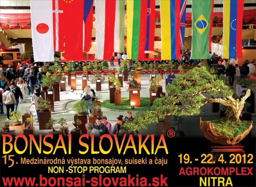 BONSAI SLOVAKIA 2012