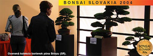 Bonsai Slovakia 2004