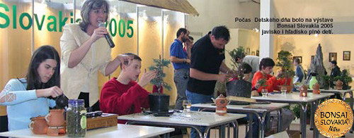 Bonsai Slovakia 2005