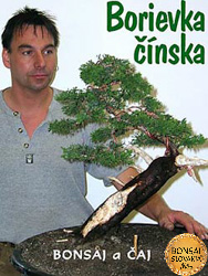 Bonsai Slovakia 2005