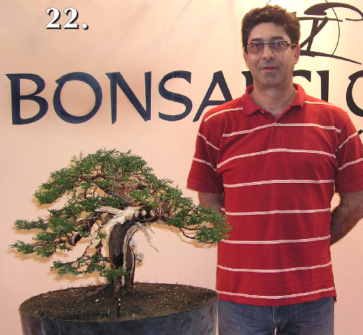 Bonsai Slovakia 2006