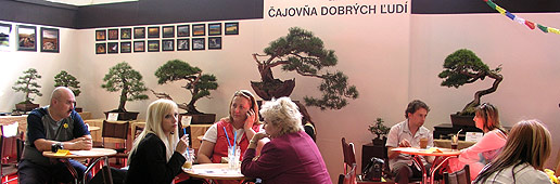 Bonsai Slovakia 2007