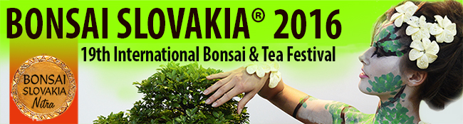 BONSAI SLOVAKIA 2016, NITRA