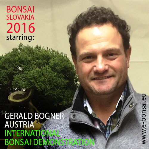 GERALD BOGNER BONSAI