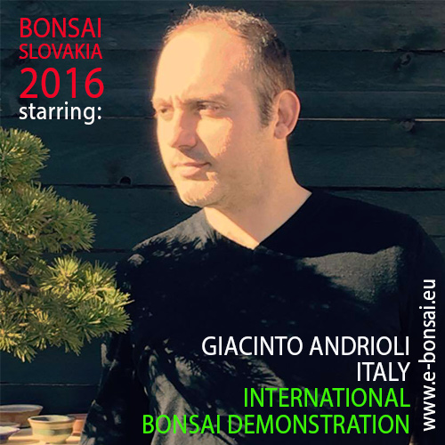 BONSAI SLOVAKIA 2016