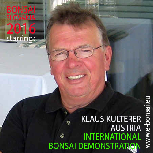 Klaus Kulterer