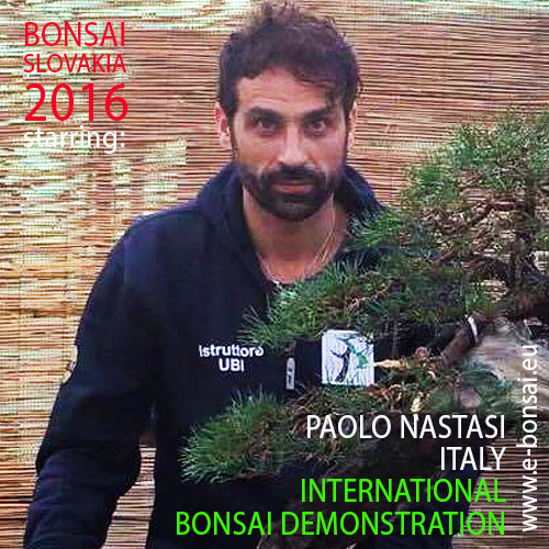 BONSAI SLOVAKIA 2016