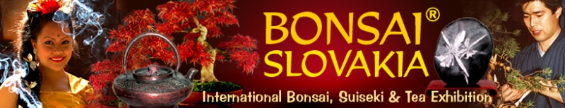 BONSAI SLOVAKIA - INTERNATIONAL BONSAI, SUISEKI @ TEA EXHIBITION