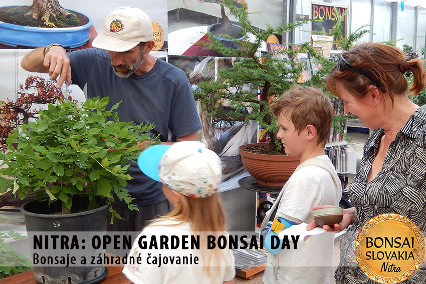 OPEN GARDEN BONSAI DAY  V NITRE