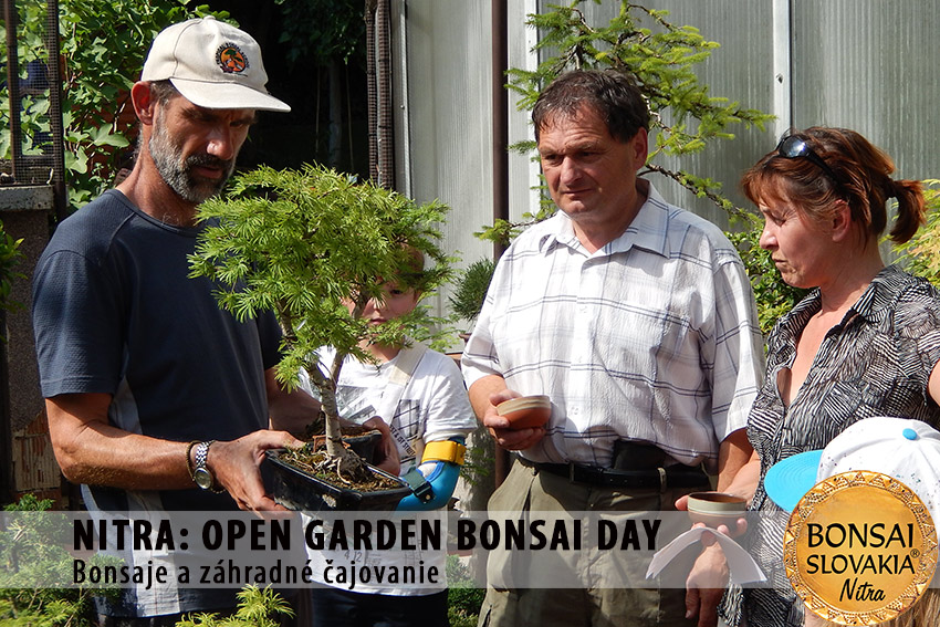 OPEN GARDEN BONSAI DAY  V NITREOPEN GARDEN BONSAI DAY  V NITRE