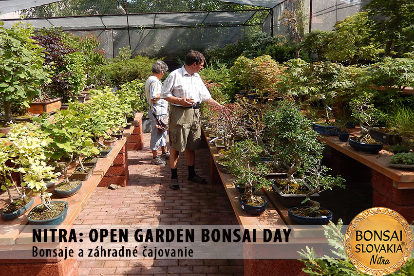 OPEN GARDEN BONSAI DAY  V NITRE