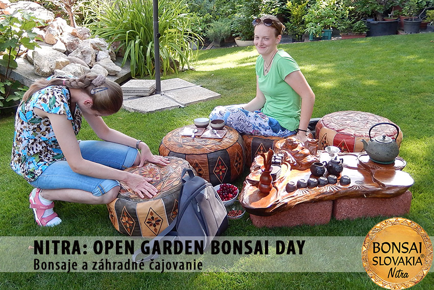 OPEN GARDEN BONSAI DAY  V NITRE