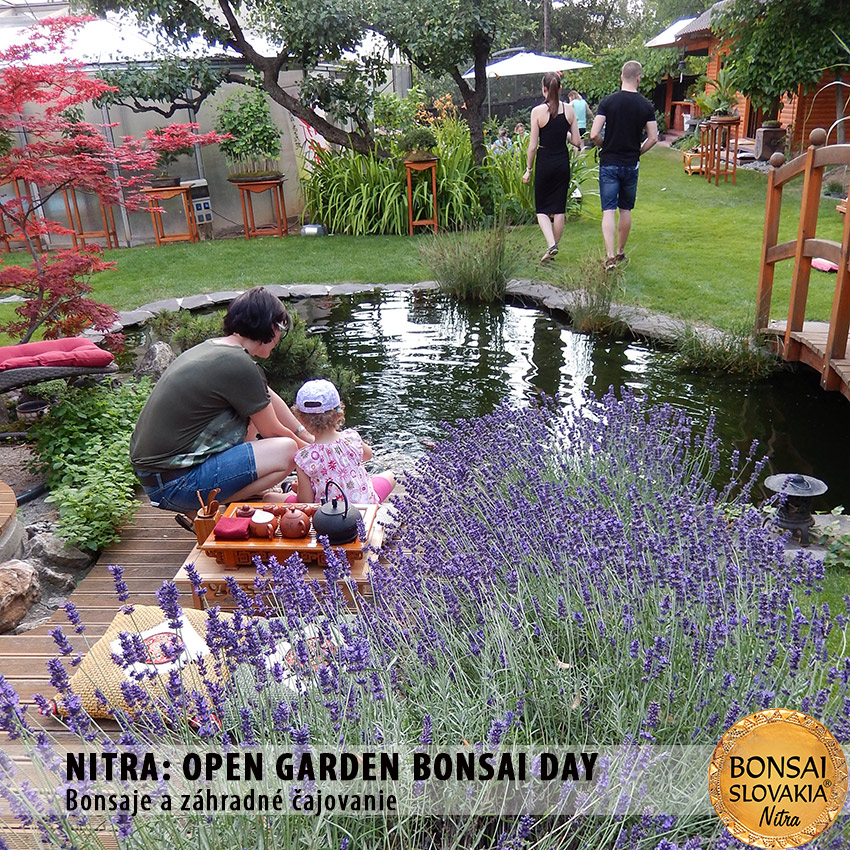 OPEN GARDEN BONSAI DAY  V NITRE