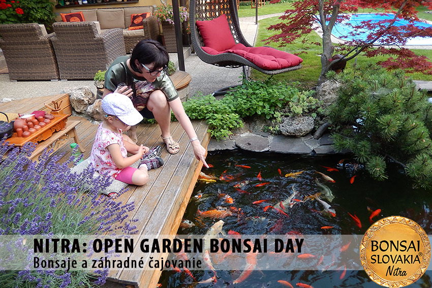 OPEN GARDEN BONSAI DAY  V NITRE