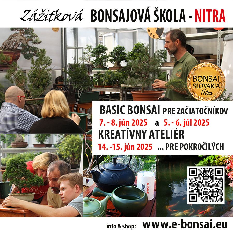 BONSAOVÁ ŠKOLA NITRA
