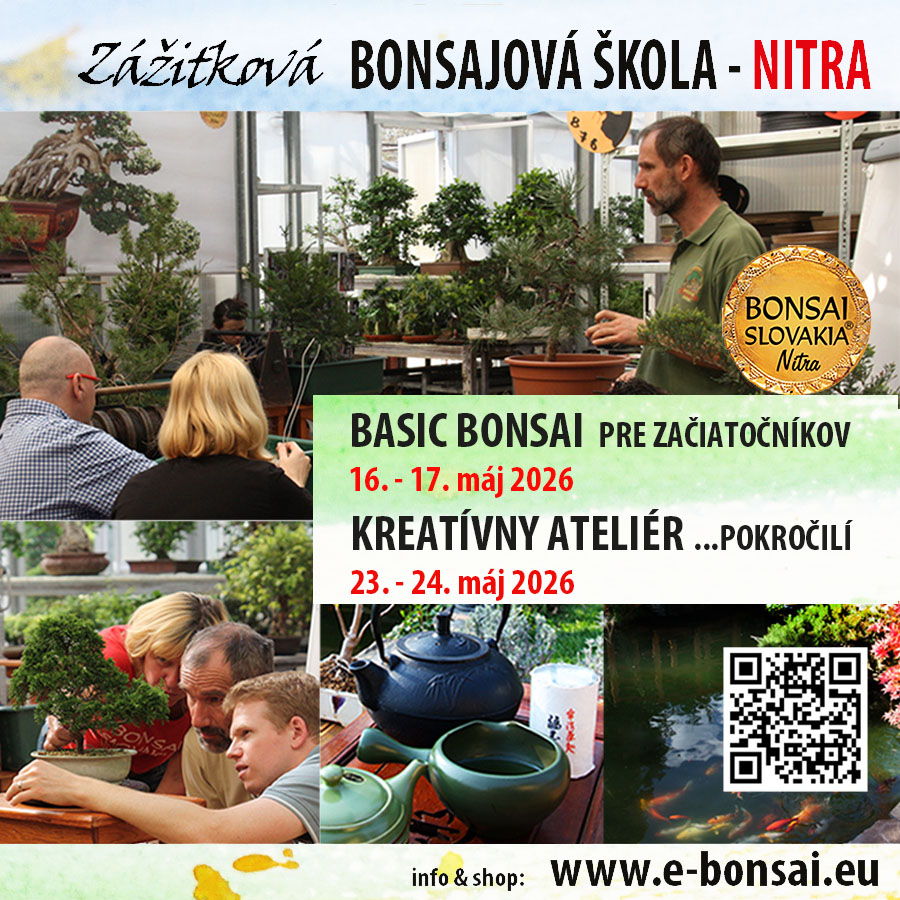 BONSAJOVÁ ŠKOLA