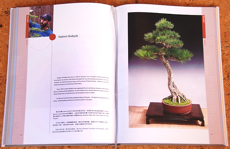 International Bonsai Instructor