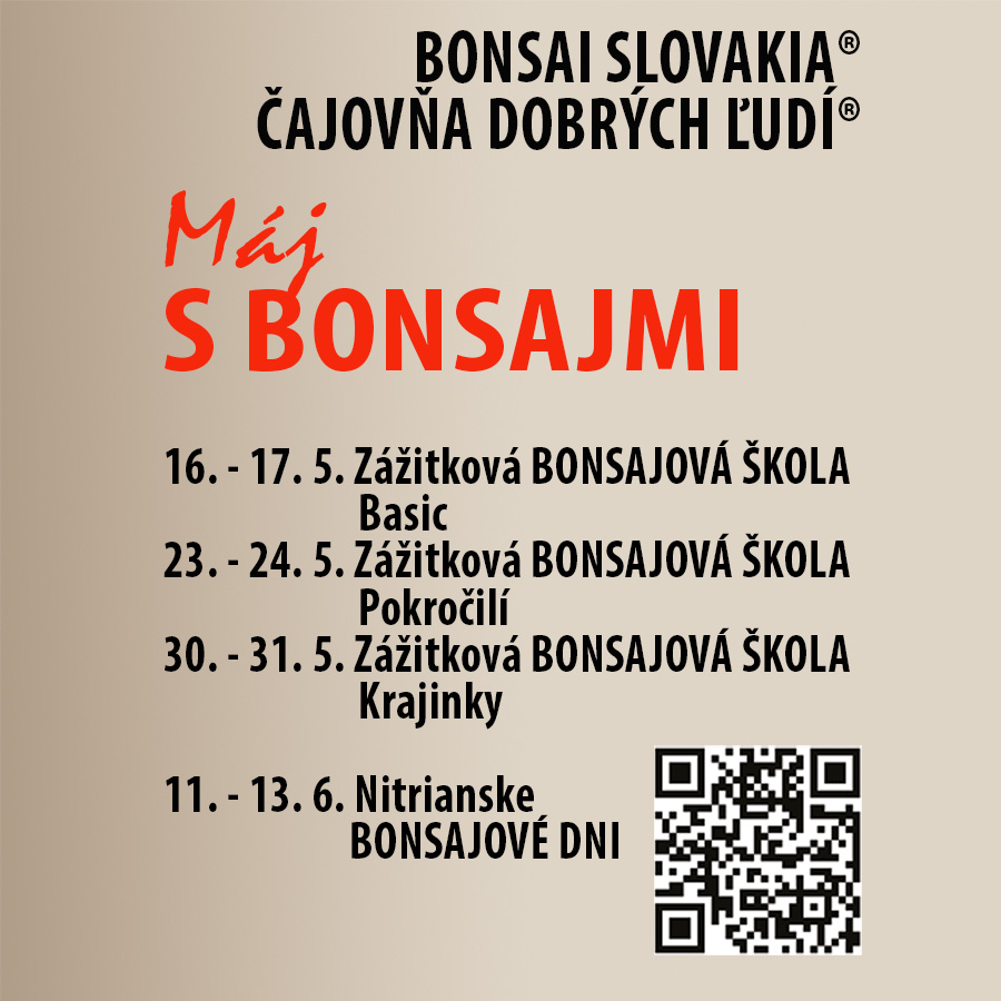 MÁJ S BONSAJMI